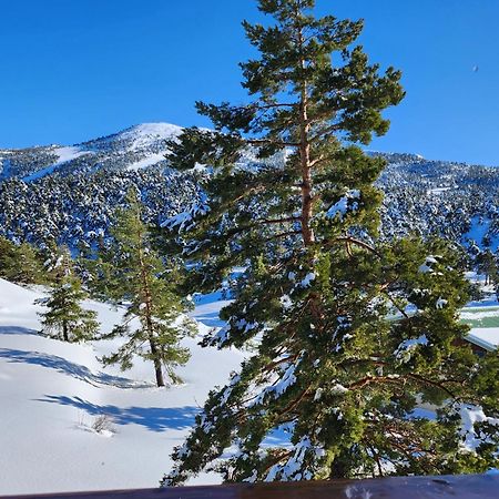 Appartamento Greolieres Les Neiges Esterno foto