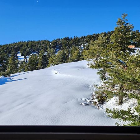 Appartamento Greolieres Les Neiges Esterno foto