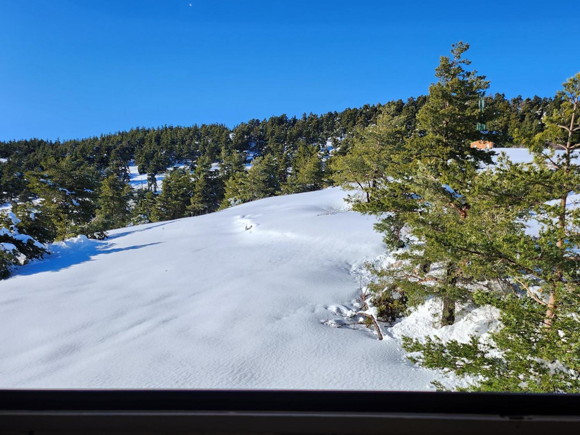 Appartamento Greolieres Les Neiges Esterno foto